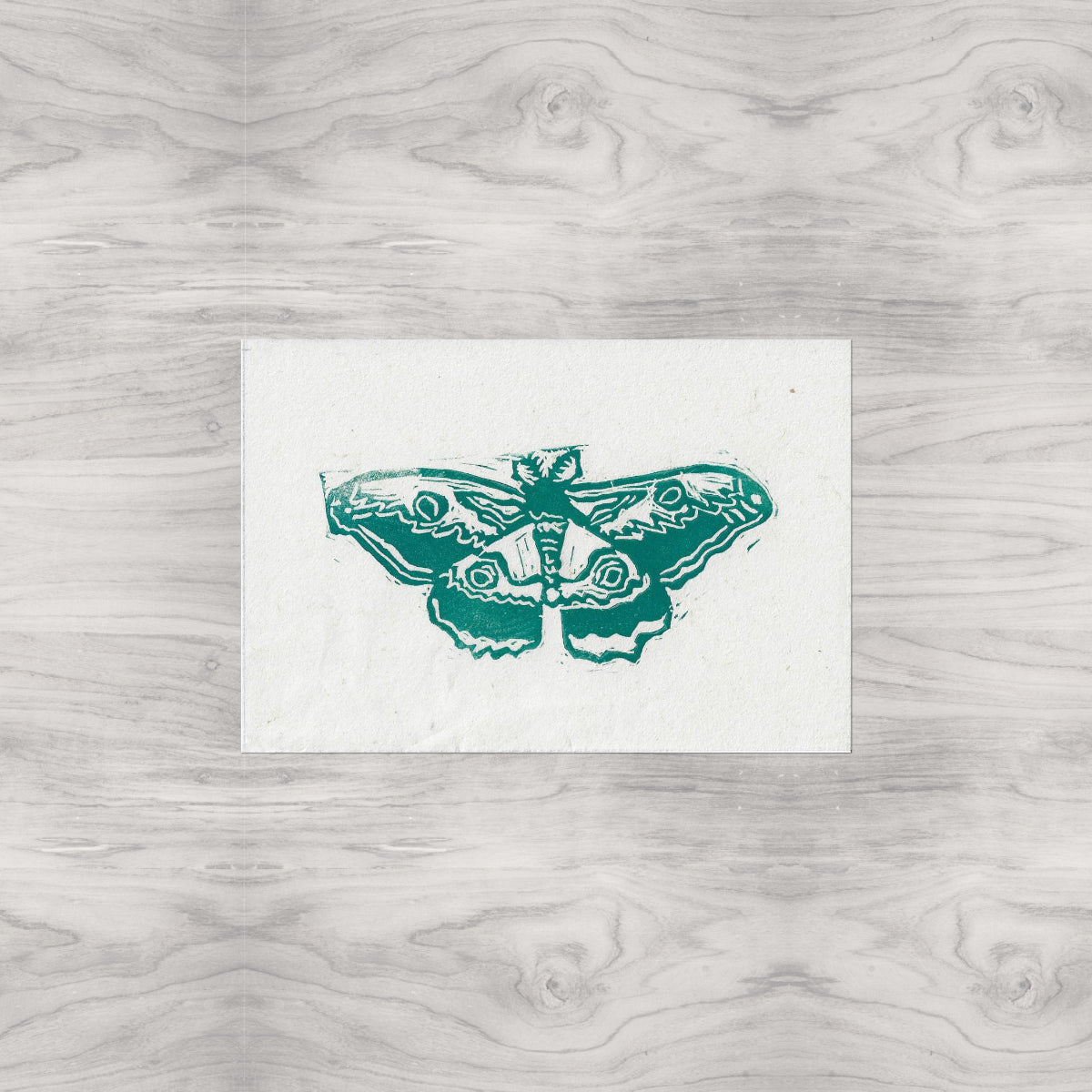 Moth Linocut Print Version 1