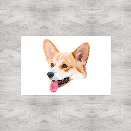 Corgi Dog Portrait