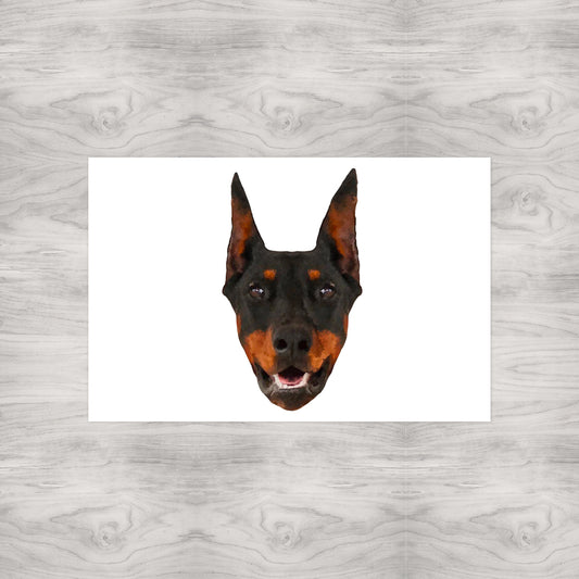 Doberman Portrait