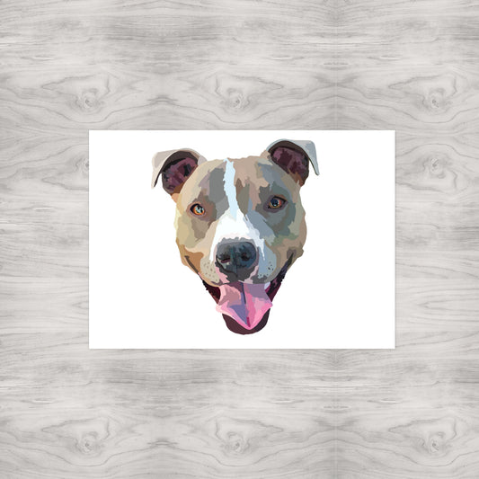 Pitbull Portrait