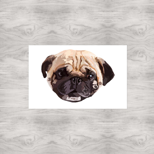 Pug Portrait