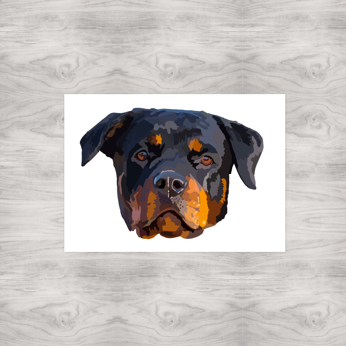 Rottweiler Portrait