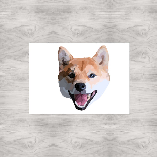 Shiba Innu Pet Portrait